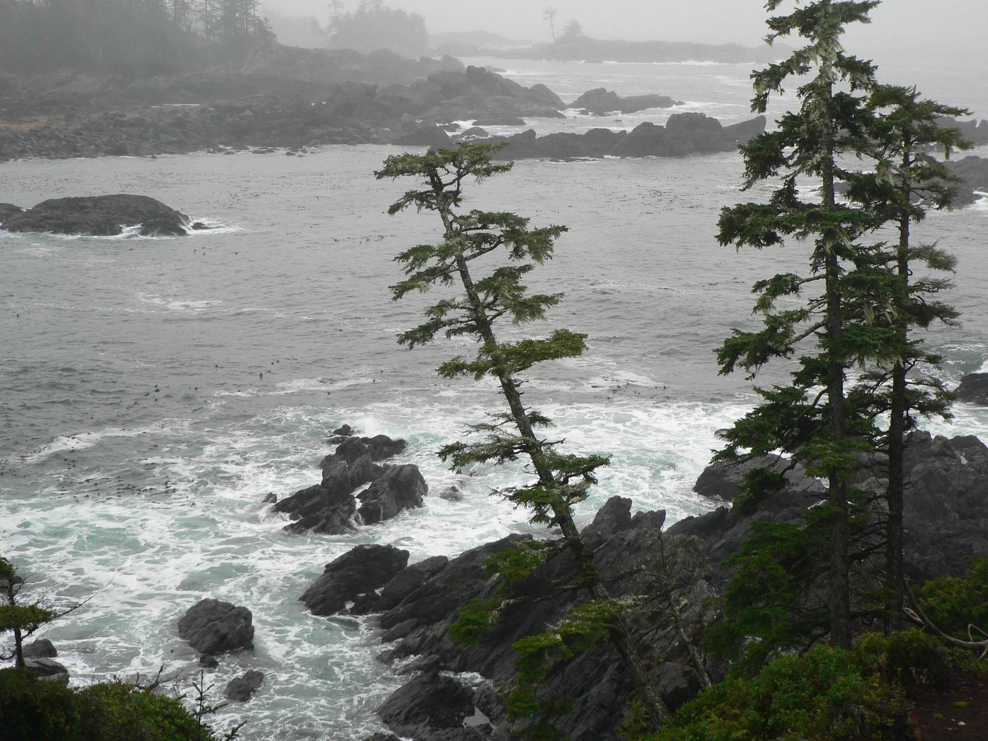 Black Rock Oceanfront Resort Ucluelet Exteriér fotografie